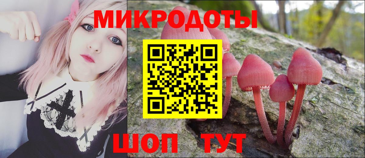 Карачаевск  Псилоцибиновые грибы прущие грибы  Вход с VPN 
